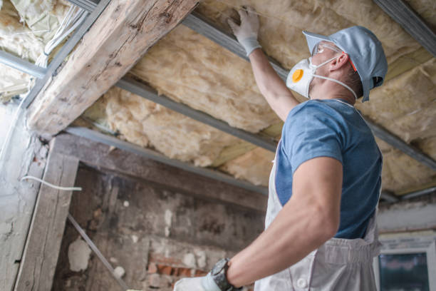 Best Cellulose Insulation in Mason, TX